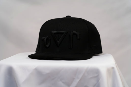 Feather Print Black-on-Black Neechi Syllabic Snapback
